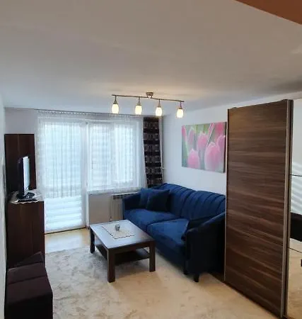 Apartment Apartament Centrum-klimatyzowany Nowy Sacz