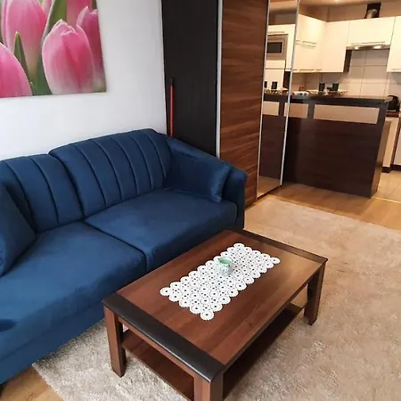 Apartament Centrum-klimatyzowany *