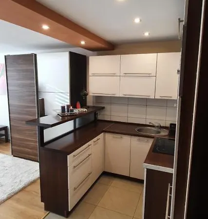 Apartament Centrum-klimatyzowany Nowy Sacz